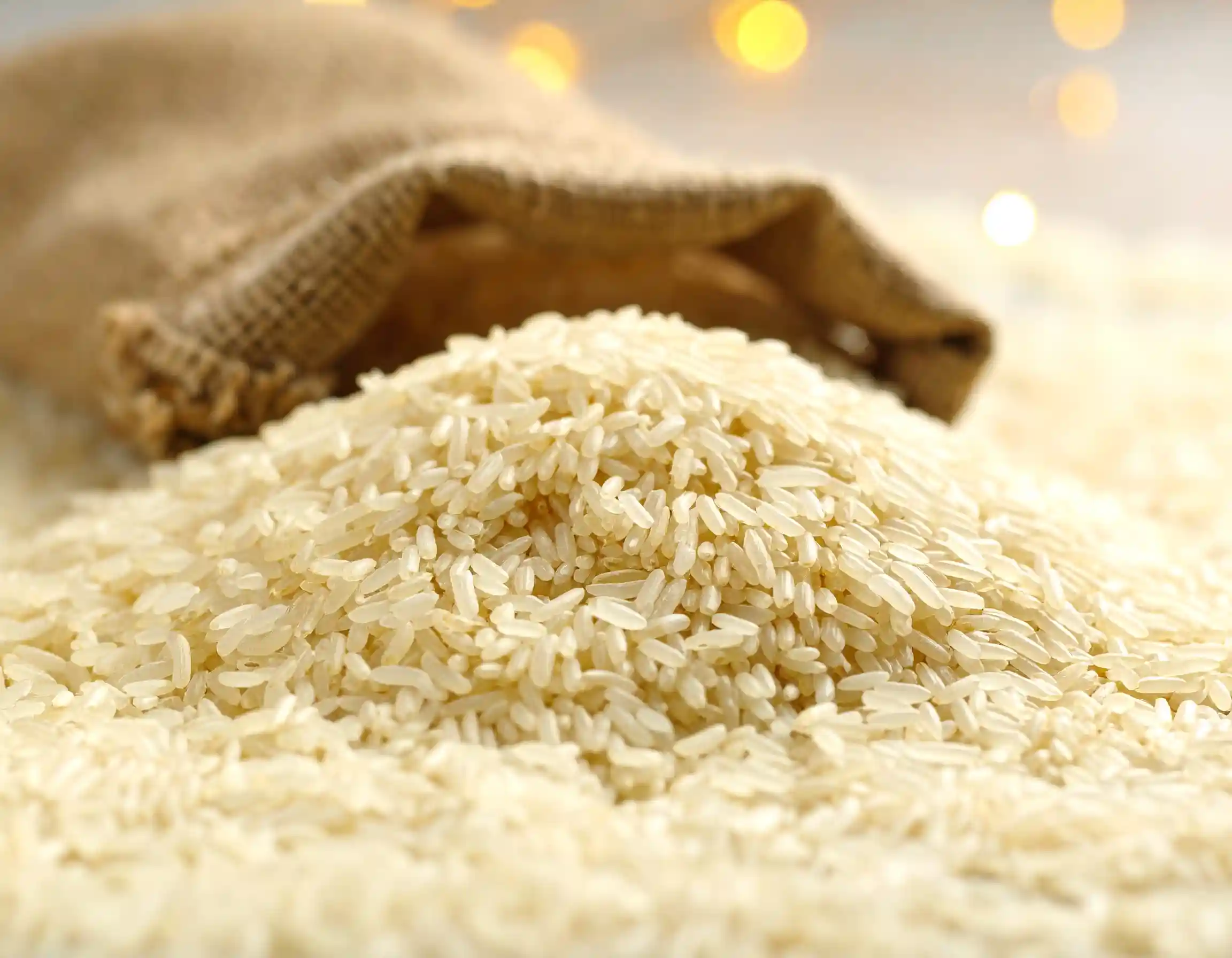 Premium Indian Basmati and Non-Basmati Rice Exporter