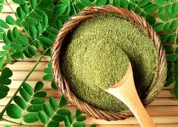 Organic Moringa Leaf Powder Exporter from India